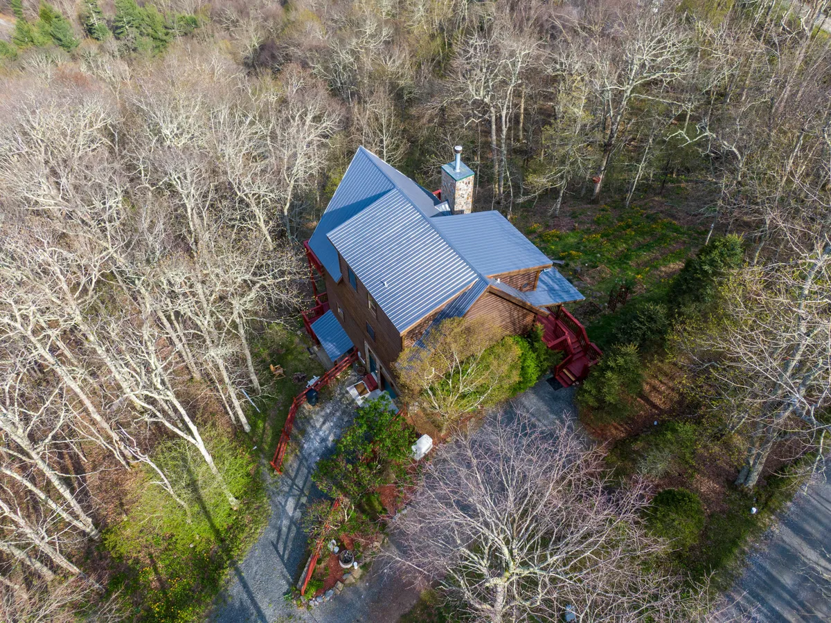 The photo shows the house nestled among mature trees, with a winding path leading up and plenty of open green space. The tranquil setting and natural garden offer an ideal spot for walks, exploration, and outdoor time with dogs.